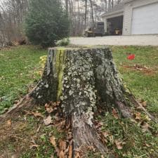 Hoagland Stump Gridning 0